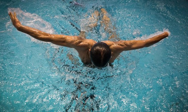 تلاش شناگران برای کسب سهمیه در بازی‌های چین