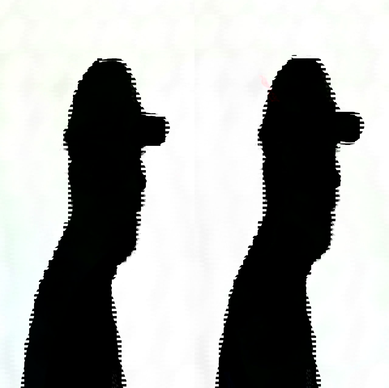 1717182