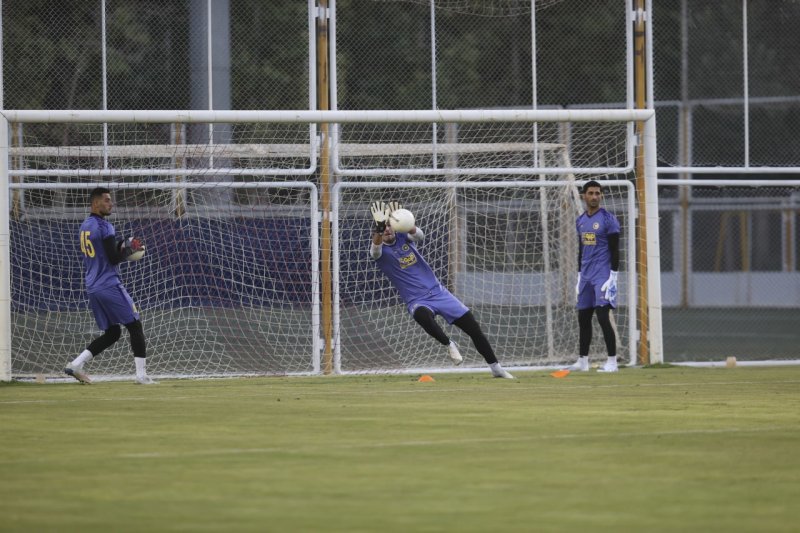 ترکیب جدید قفس توری سپاهان (عکس)