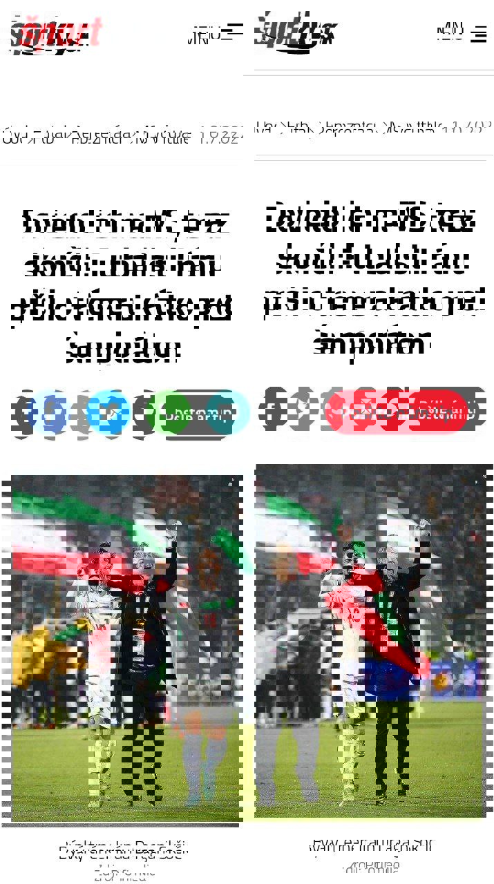 1726733