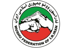 واکنش فدراسیون ووشو به حواشی انتخابی تیم ملی
