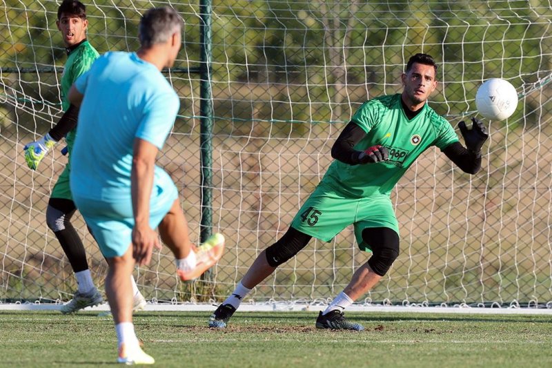 از غیبت رشید سوء استفاده میکنند