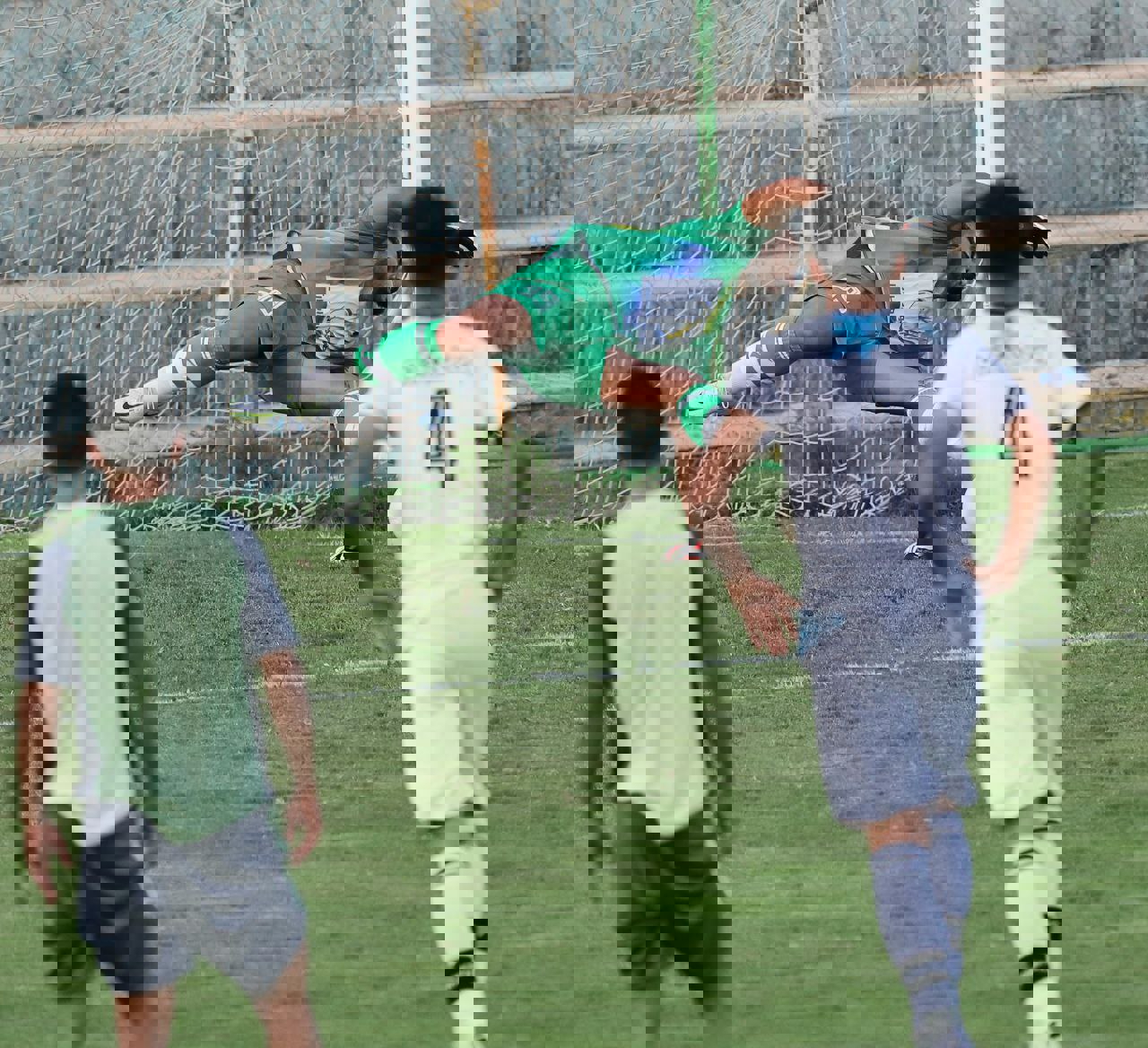 1733184