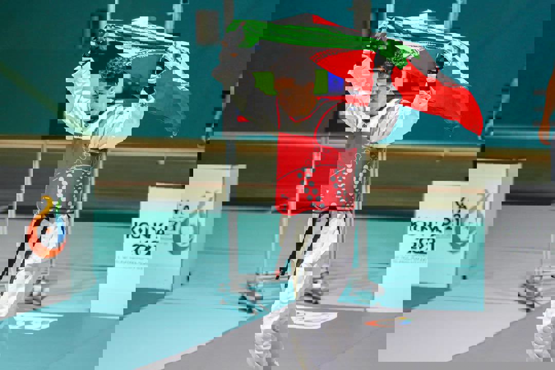 1733676
