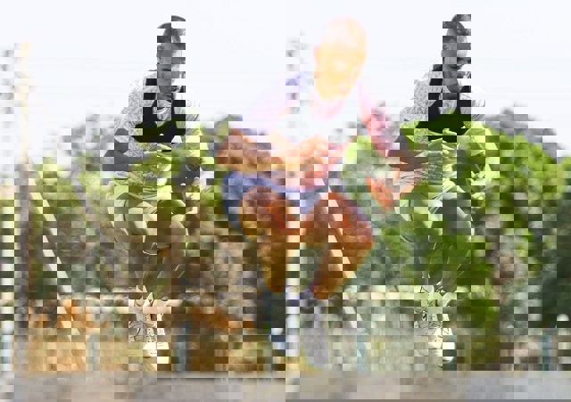 1734887