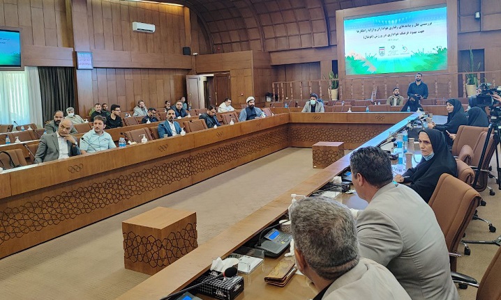 نشست مدیران فرهنگی با دغدغه هواداری و زنان