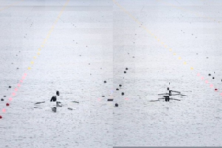 کاپ روئینگ آسیا با حضور چهار کشور برگزار می‌شود