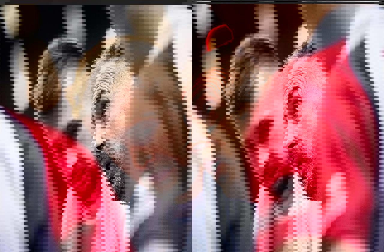 1744637