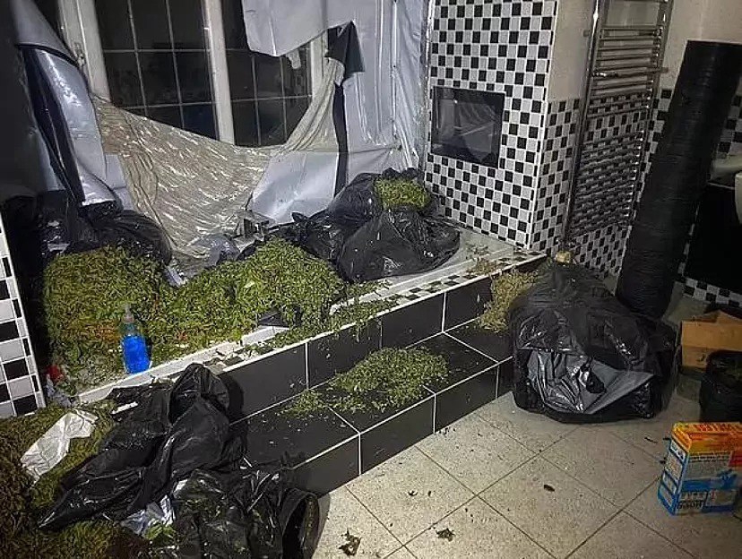 کوه ماری جوانا در خانه ستاره سابق لیورپول 2