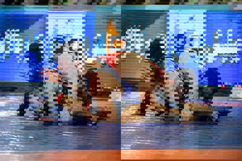 1753318