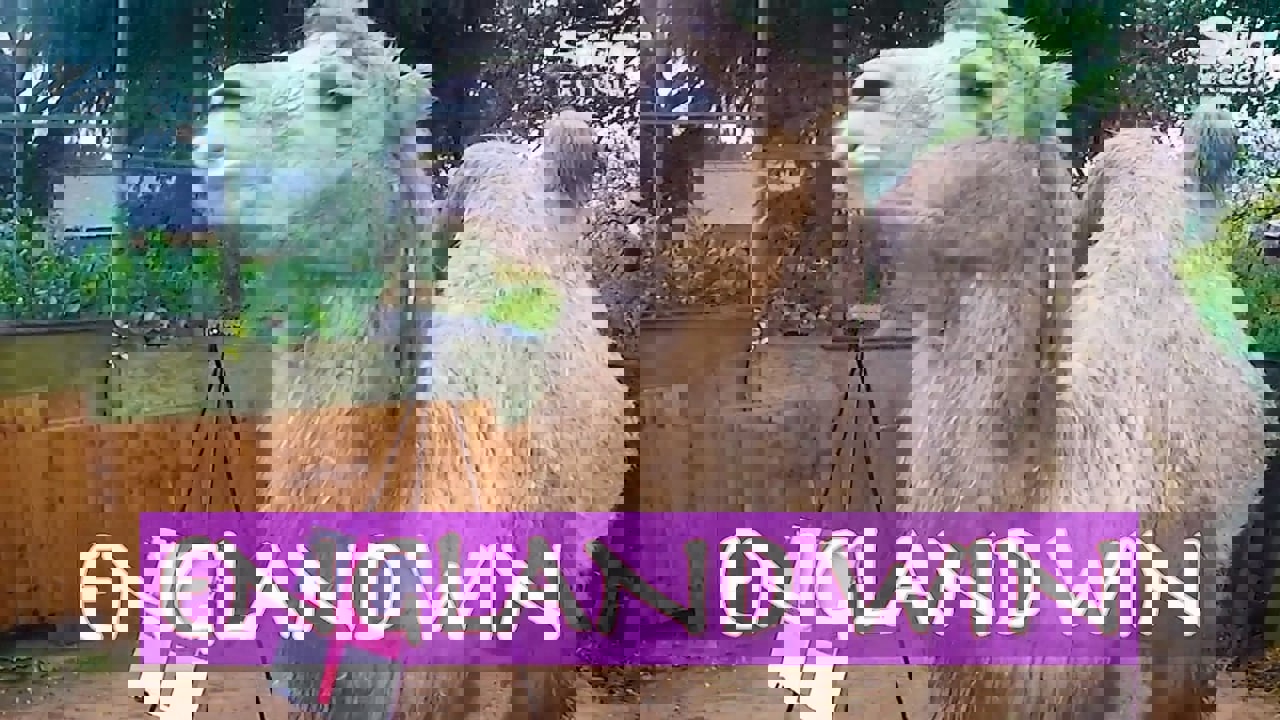 1765893