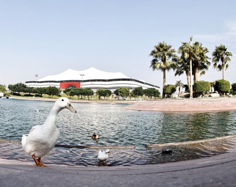 ورزشگاهی که با نور خورشید کار می‌کند