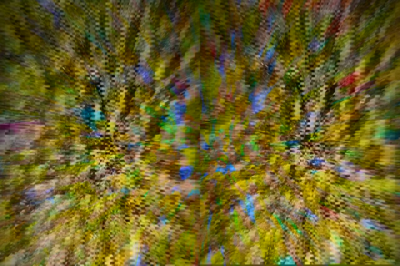 1771790