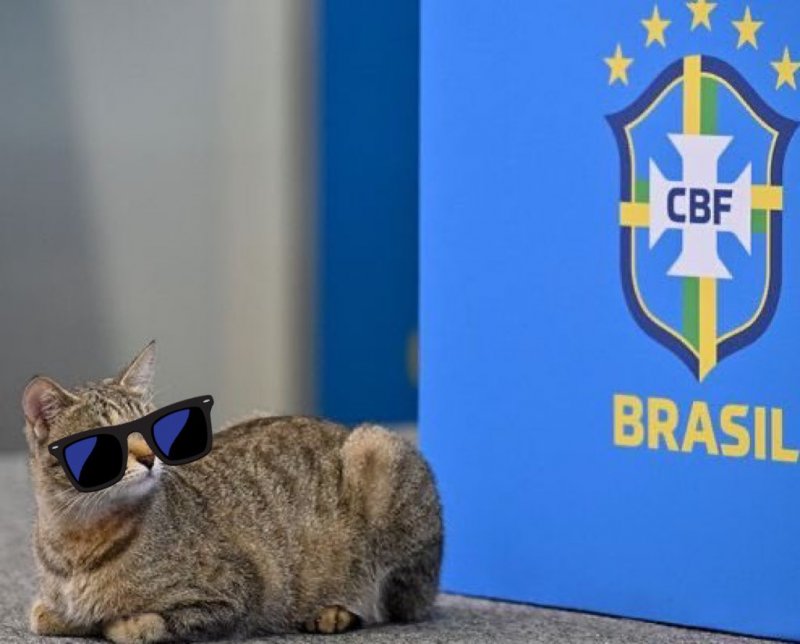 شکایت نجومی به‌خاطر گربه‌آزاری مدیر رسانه‌ای برزیل
