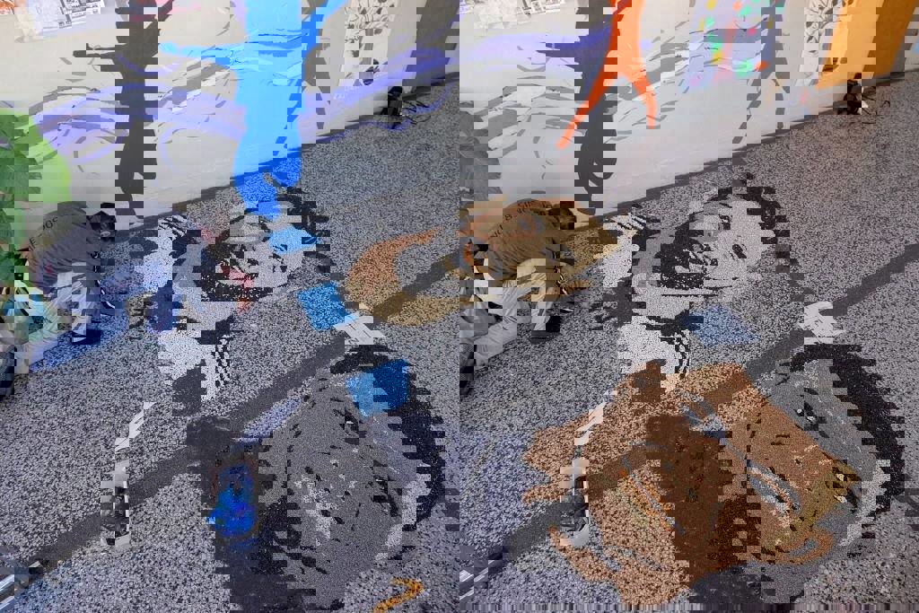 1782048