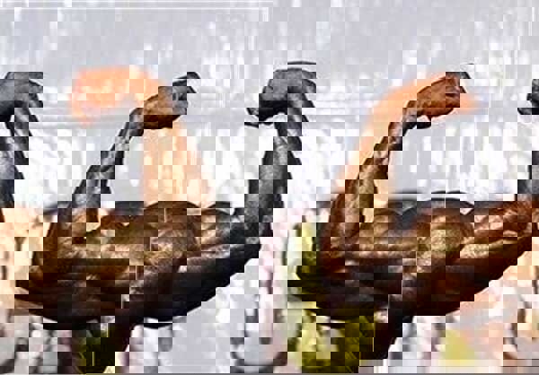 ۲۳ هزار باشگاه ورزشی پرورش اندام در کشور وجود دارد