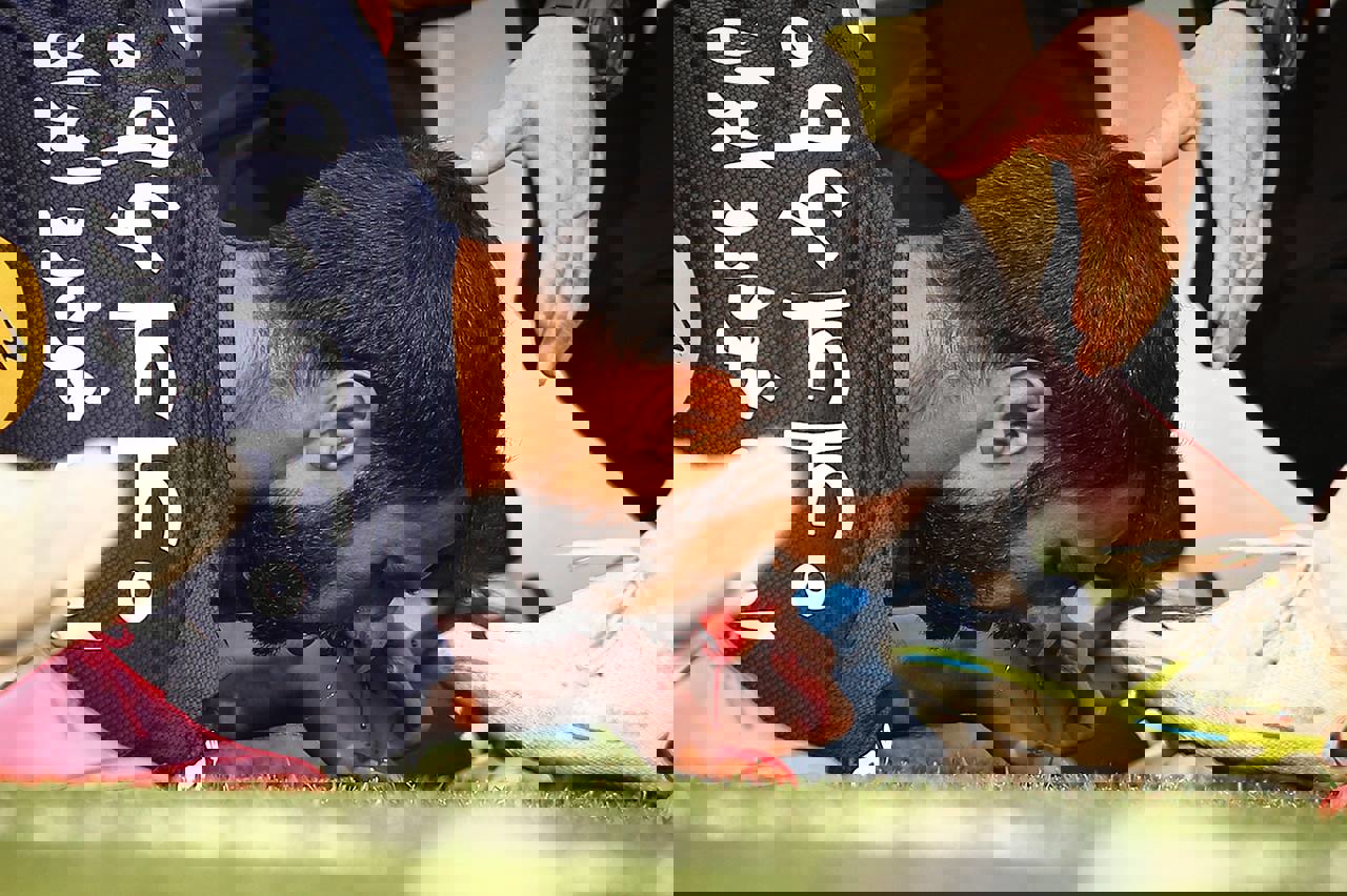 1786824