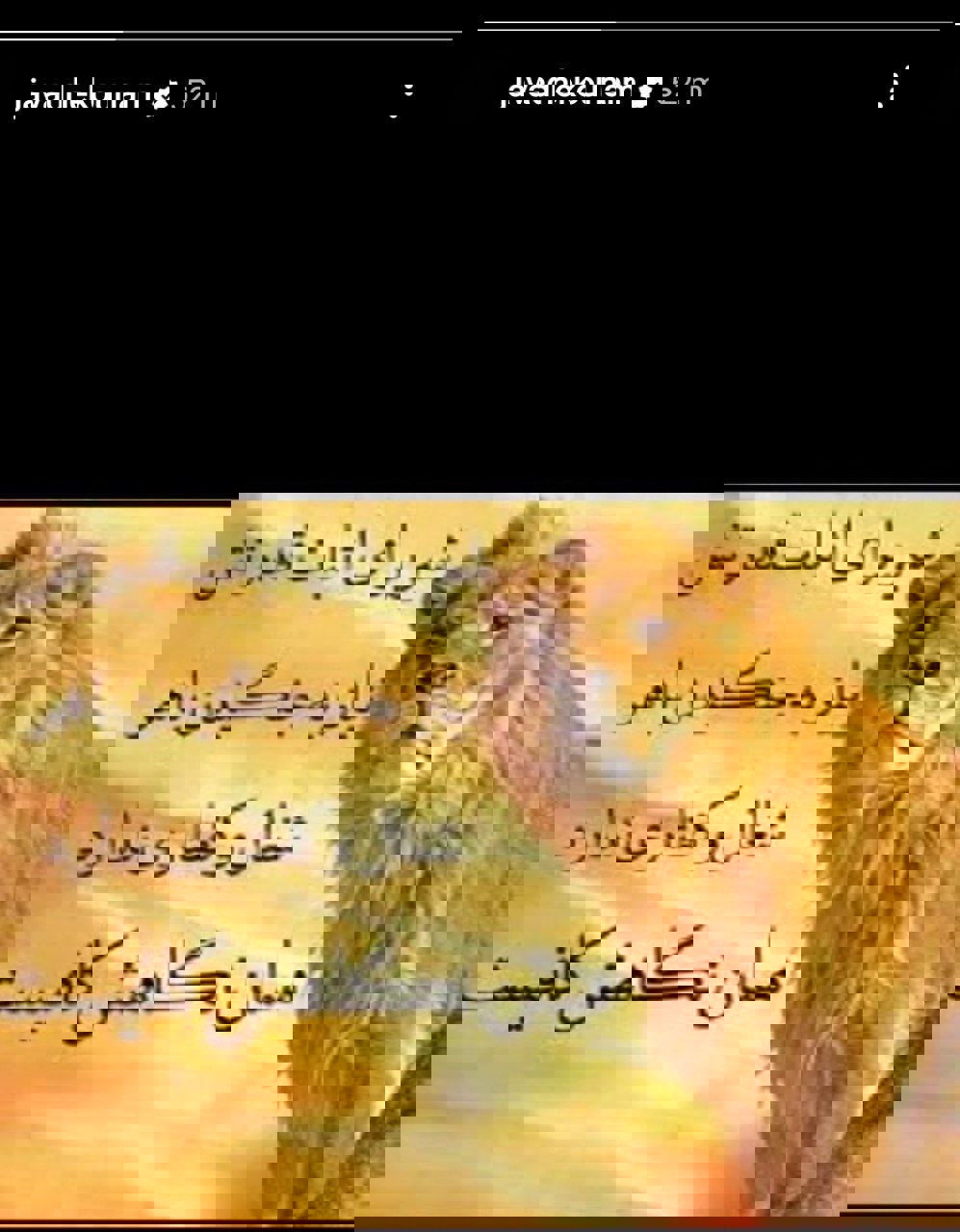 1795650
