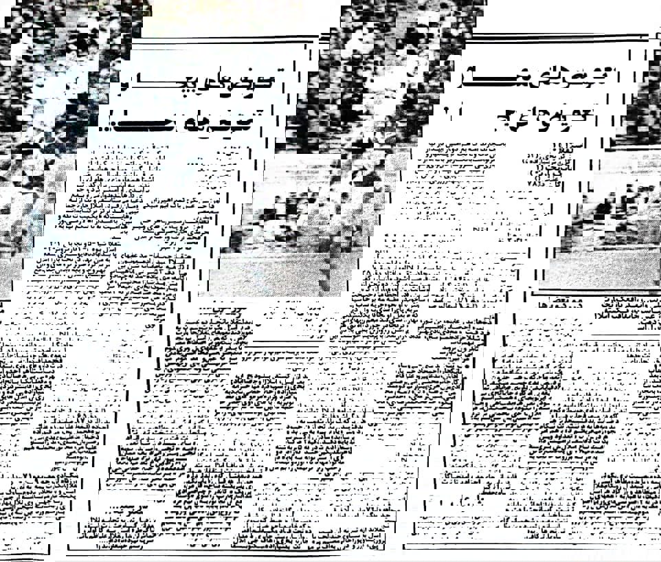 1796194