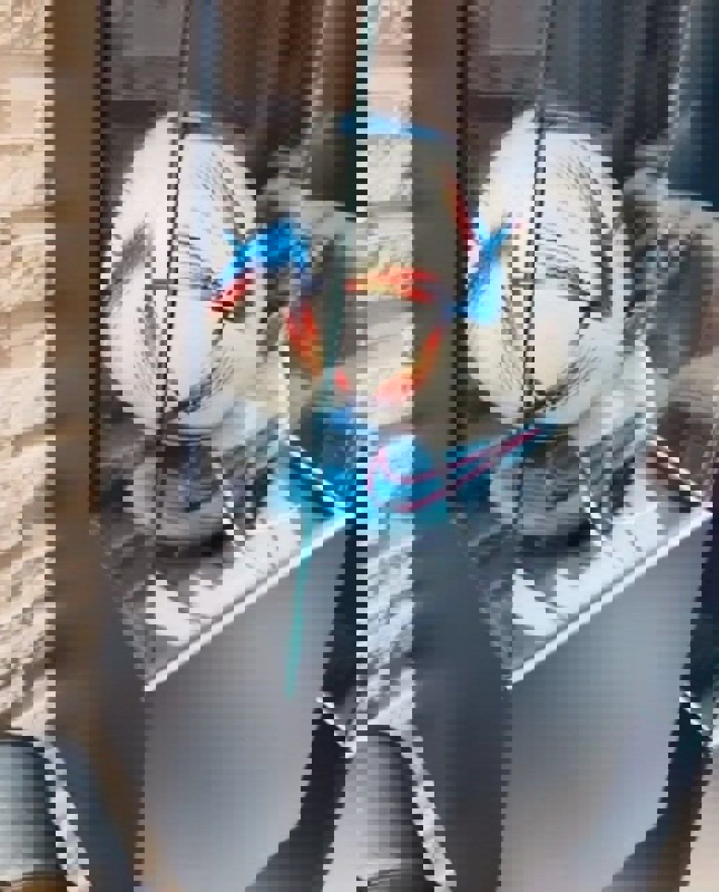 1798555