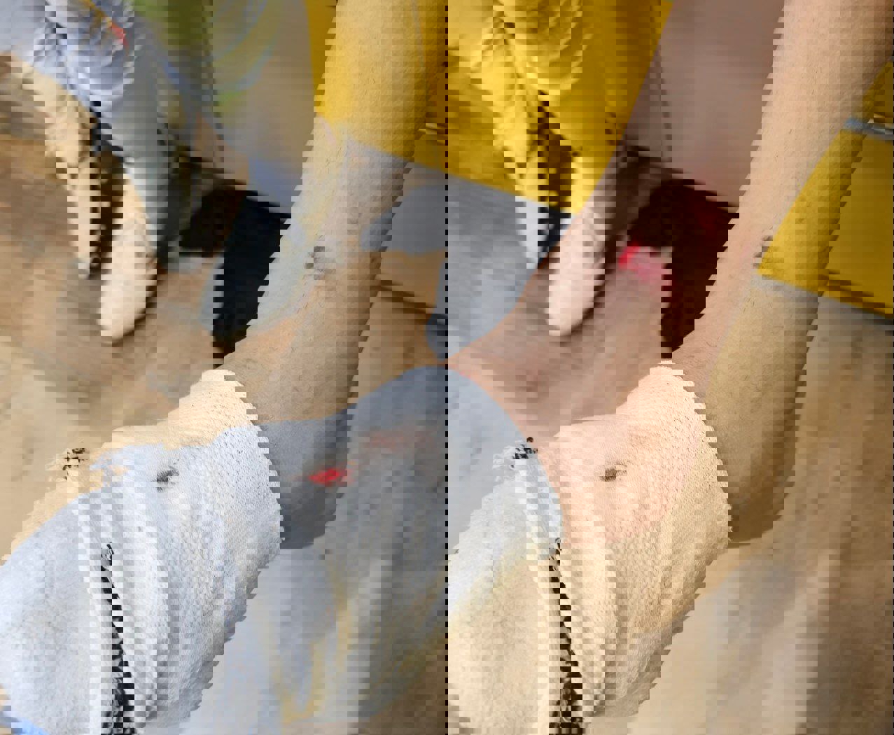 1829166