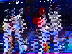 سرپرست فدراسیون تکواندو معرفی شد