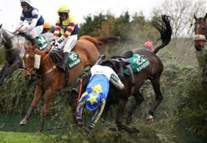 تلف شدن 3 اسب در مسابقات اسب‌دوانی در انگلیس