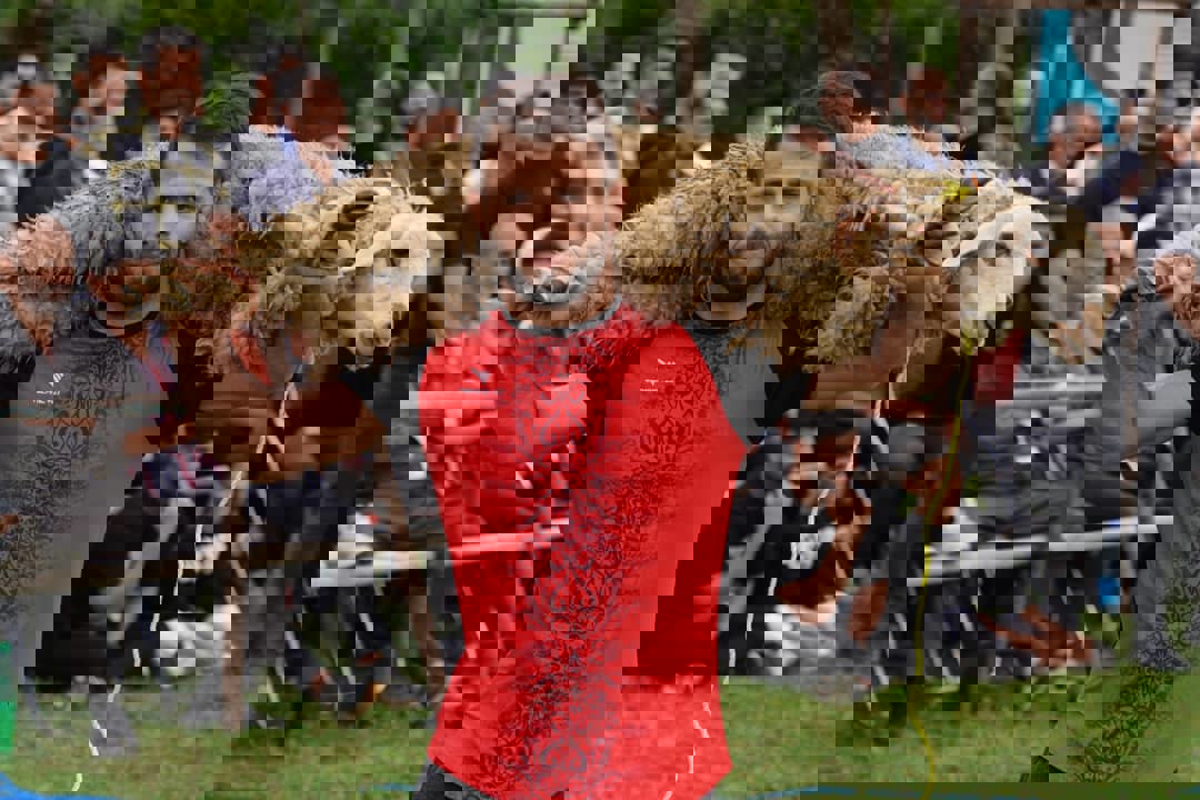 1856411