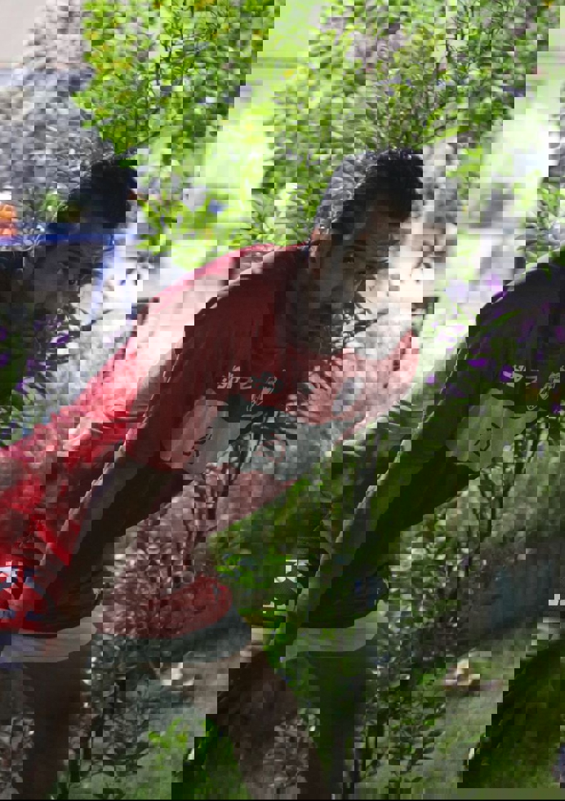 1868268