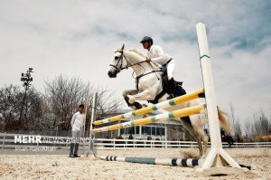 برگزاری مسابقات جهانی پرش با اسب ۲۰۲۳ در ایران