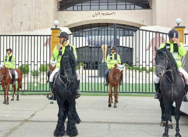 برقراری نظم در آزادی با پلیس اسب‌سوار