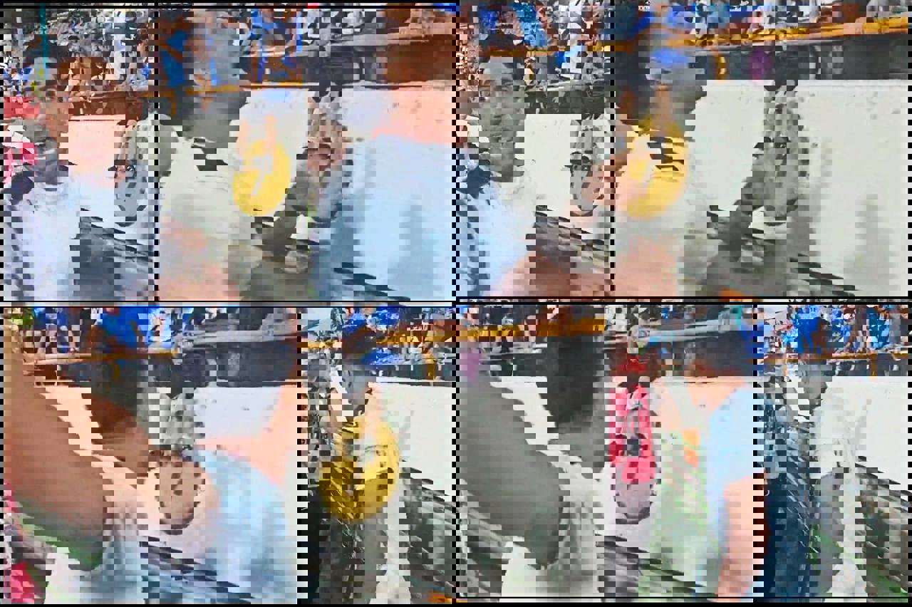 1882119