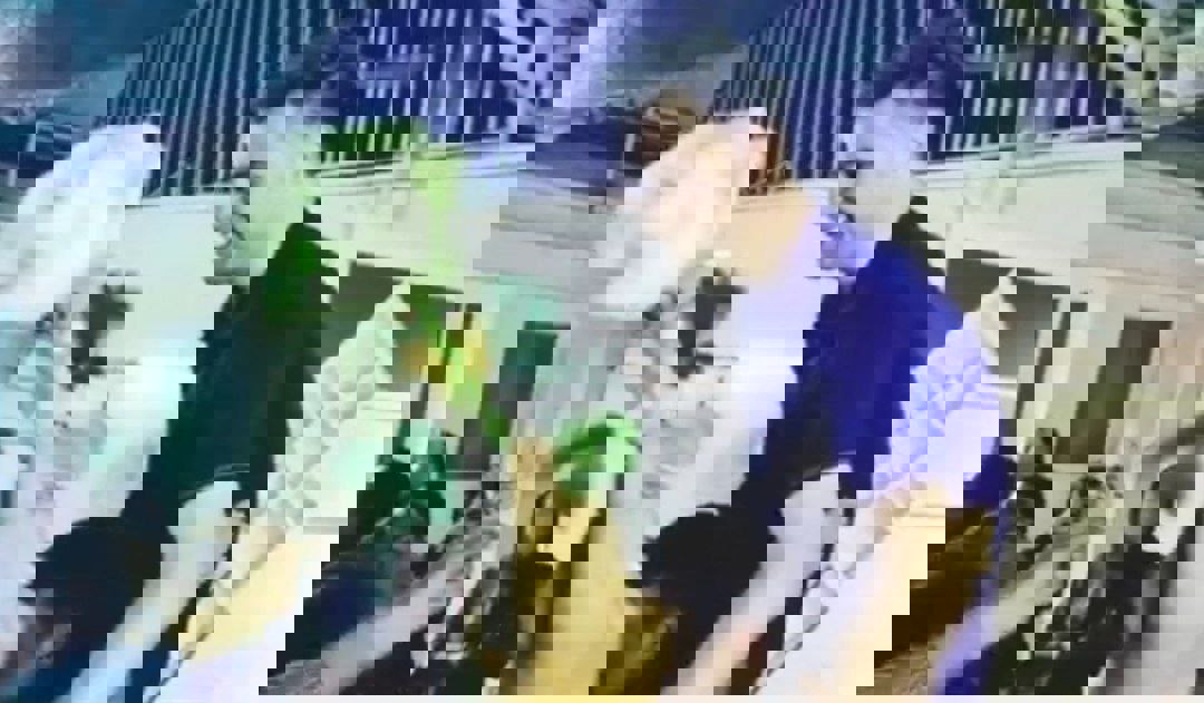 1883806