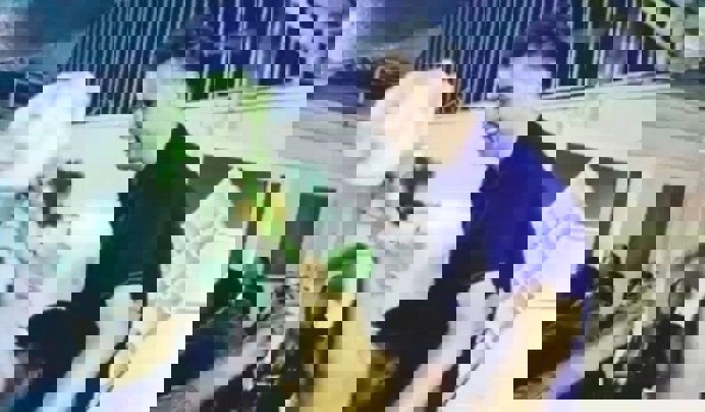 1883806