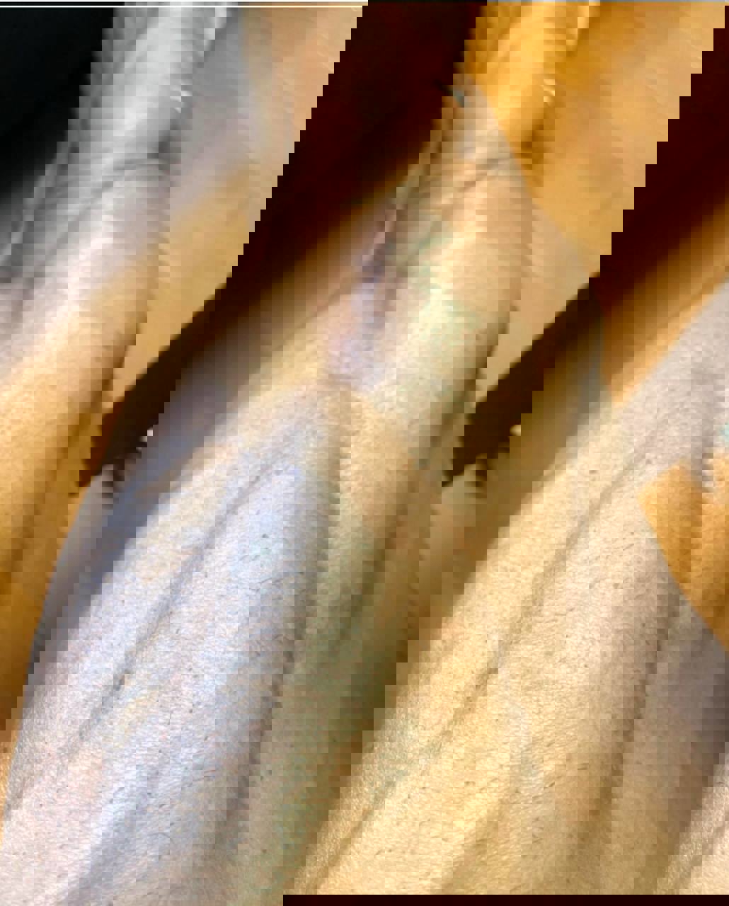1890130