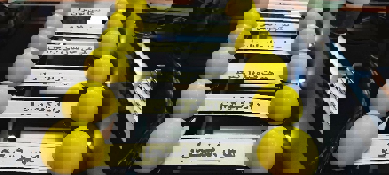 1894570