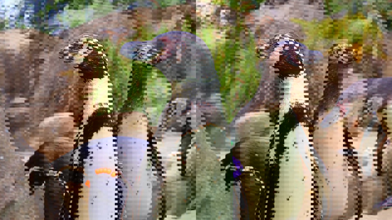 1897307