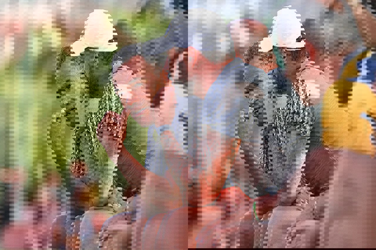 1898141