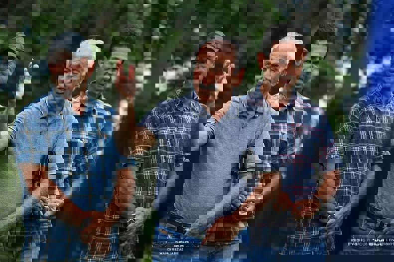 1904269
