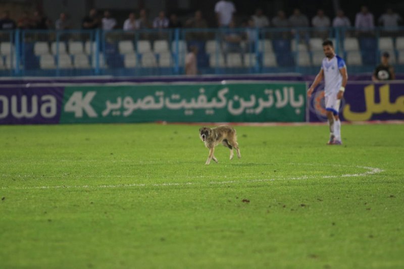 عجیب‌ترین صحنه‌های فوتبال ایران در صد سال!