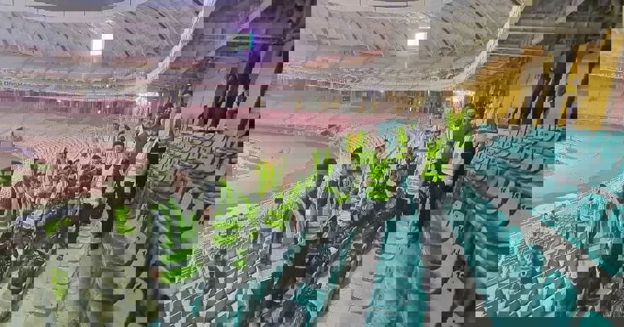 1914882