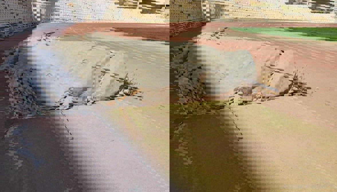 1930685
