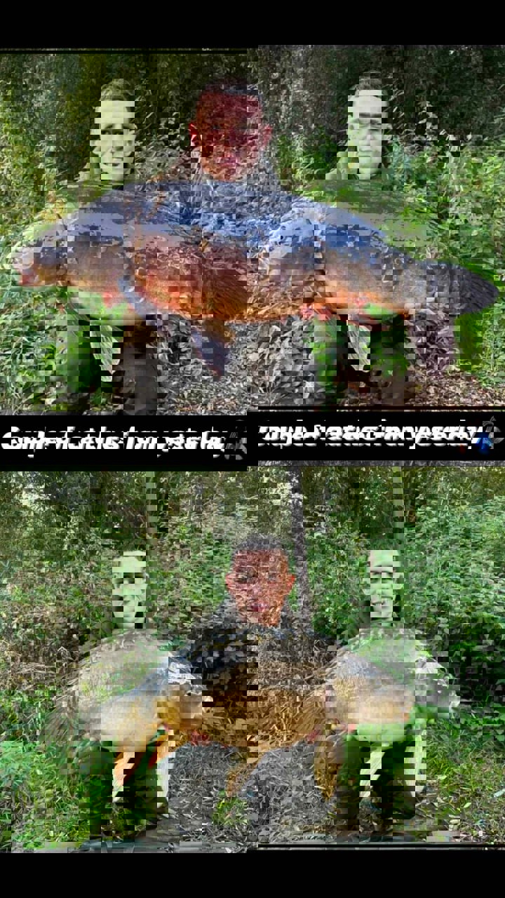 1931355