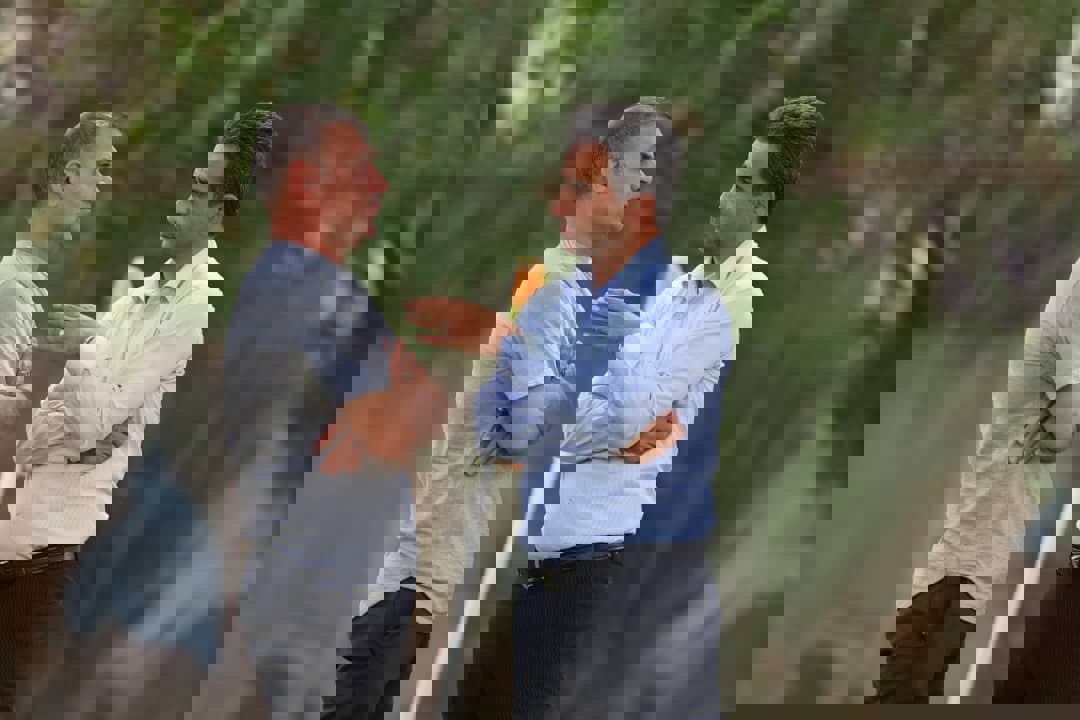 1950516