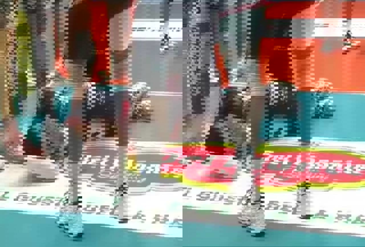 1953447