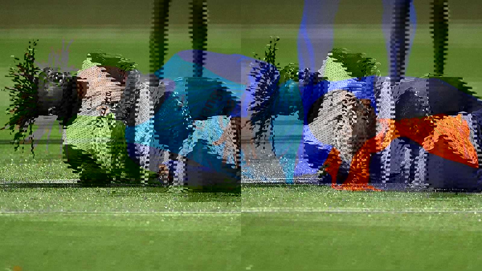 1954872