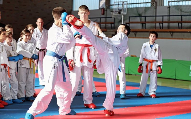 یک ایرانی، مدرس کاراته به نوجوانان آلمانی (عکس)