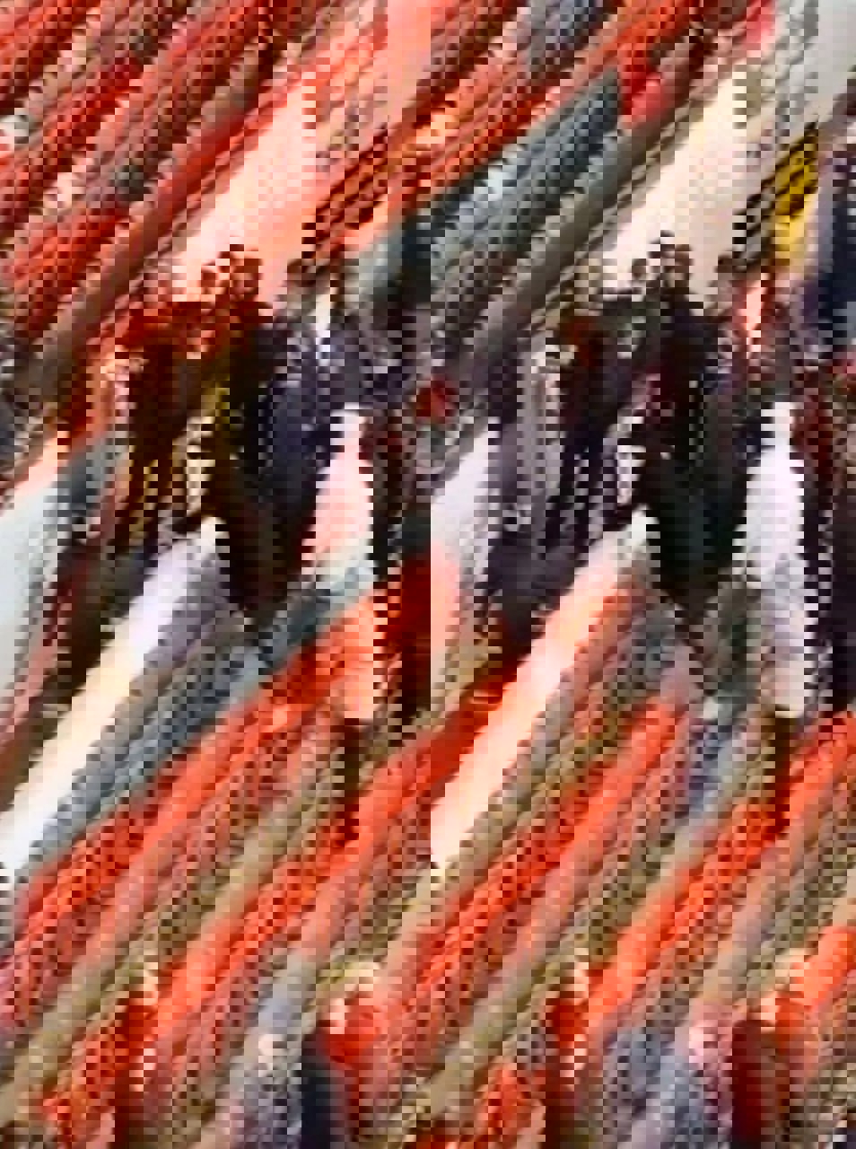 1973408