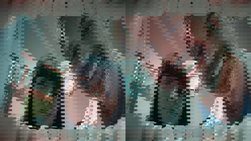 1990554