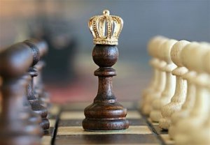 انتخاب مربی تیم ملی شطرنج بانوان
